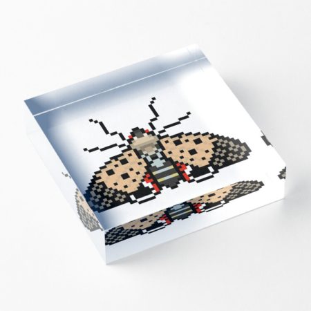 Spotted Lanternfly Acrylic Block