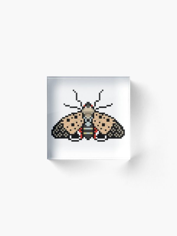 Spotted Lanternfly Acrylic Block
