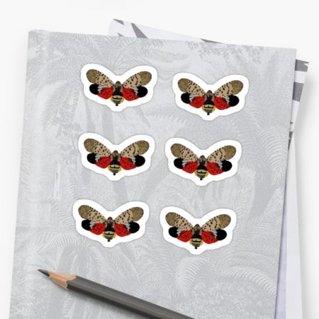Spotted Lanternfly Stickers