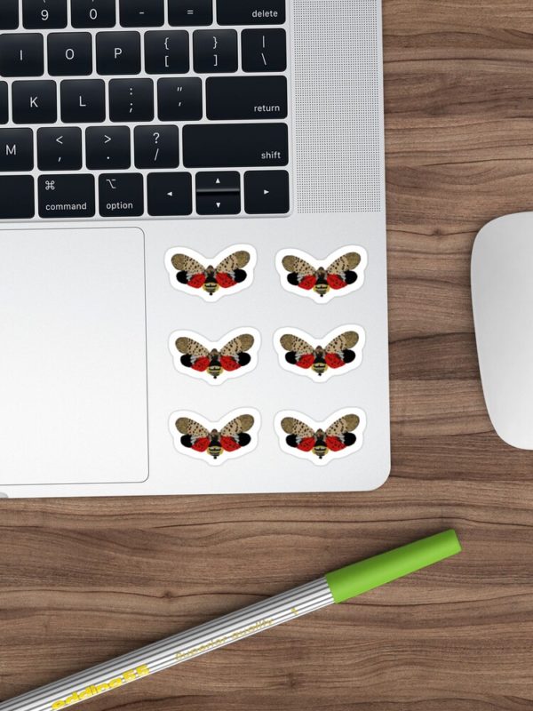 Spotted Lanternfly Stickers on Laptop
