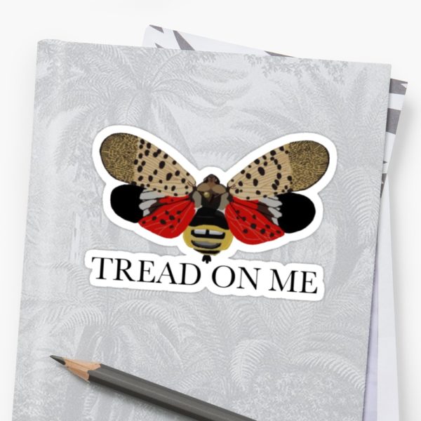Spotted Lanternfly Tread on Me Sticker