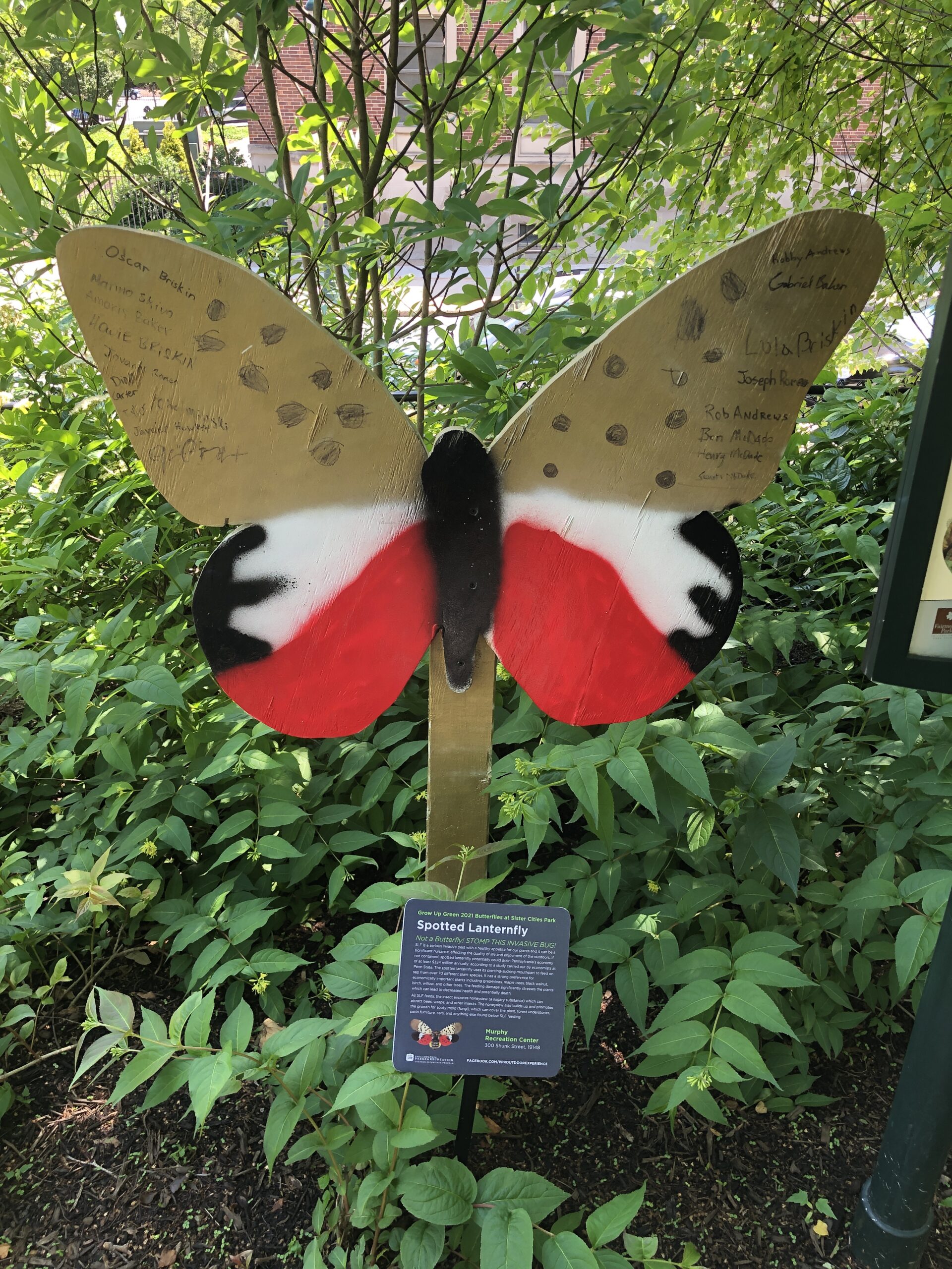 Spotted Lanternfly art exhibit