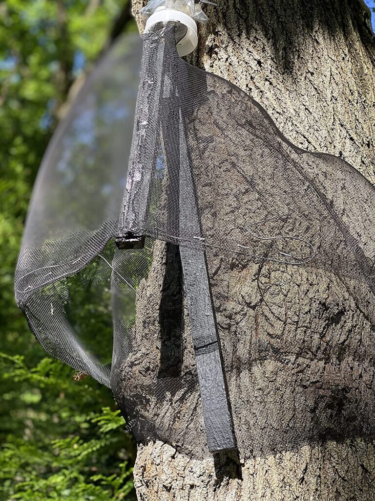 Spotted Lanternfly Trap The Spotted Lanternfly Shop